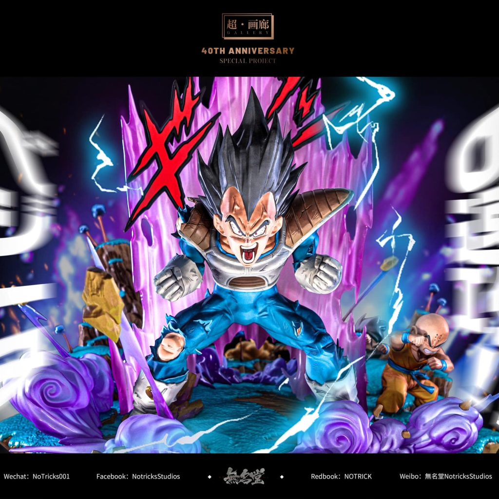 NoTricks Studio Vegeta